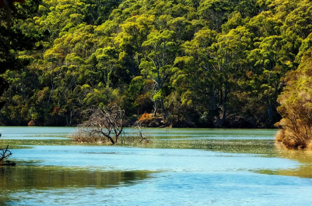 tasmania 353653 1280